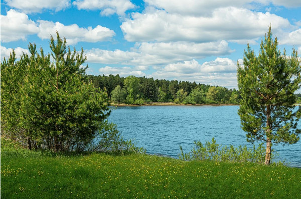 Продам участок 25 соток, ИЖС, Ленина ул, Усть-Качка с, 0 км от города