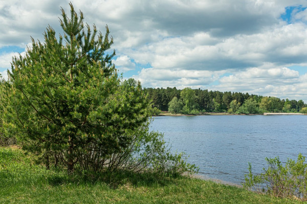 Продам участок 25 соток, ИЖС, Ленина ул, Усть-Качка с, 0 км от города