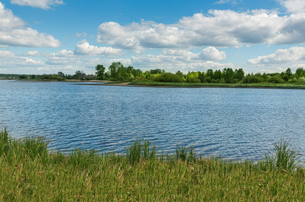 Продам участок 25 соток, ИЖС, Ленина ул, Усть-Качка с, 0 км от города