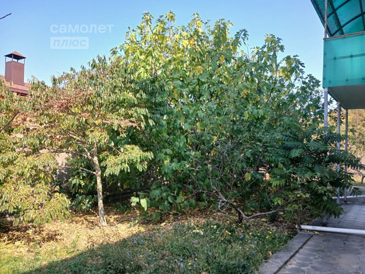 Продам дом, 16-В, Дзеберкой с, 0 км от города