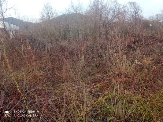 Продам участок 6 соток, ИЖС, Ромашка мкр, Кроянское с, 0 км от города