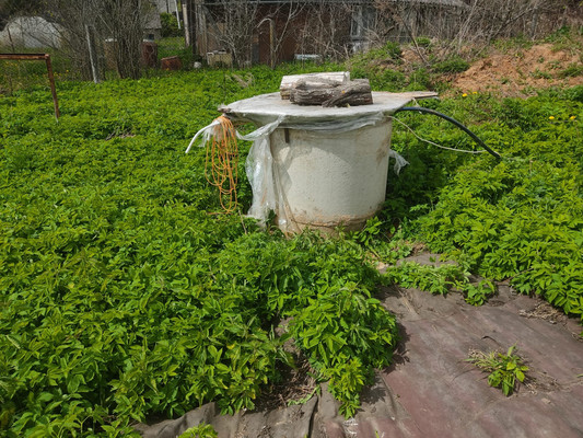 Продам дом, 22, Волосово д, 0 км от города