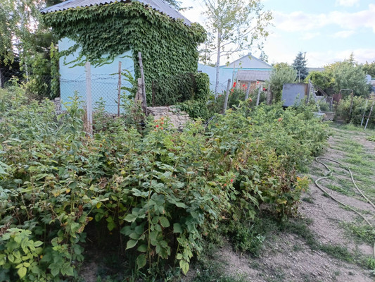 Продам дом, Межгорская ул, 12, Балки с, 0 км от города