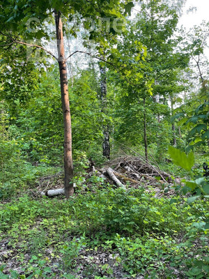 Продам участок 30 соток, Герцена ул, Малаховка рп, 0 км от города