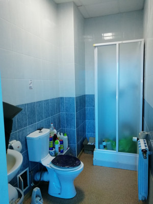 Продам торговое помещение 247 м2, Лесная ул, 36, Сыктывкар г