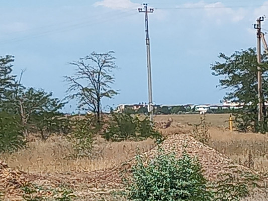 Продам участок 8,83 соток, ИЖС, Бахчисарайская ул, 47, Николаевка пгт, 0 км от города