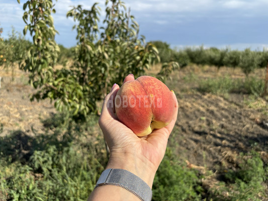 Продам участок 10 соток, ИЖС, Экономическое с, 0 км от города