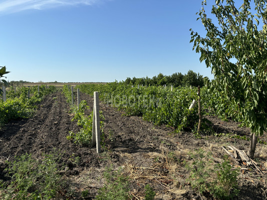 Продам участок 10 соток, ИЖС, Экономическое с, 0 км от города
