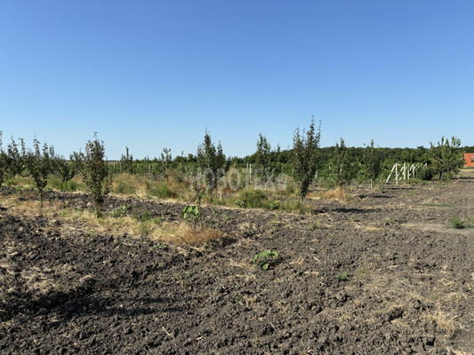 Продам участок 10 соток, ИЖС, Экономическое с, 0 км от города