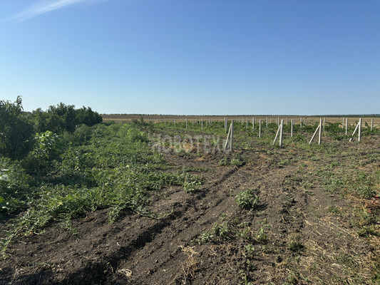 Продам участок 10 соток, ИЖС, Экономическое с, 0 км от города