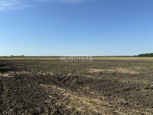 Продам участок 10 соток, ИЖС, Экономическое с, 0 км от города