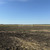Продам участок 10 соток, ИЖС, Экономическое с, 0 км от города