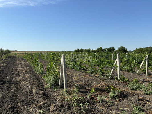 Продам участок 10 соток, ИЖС, Экономическое с, 0 км от города