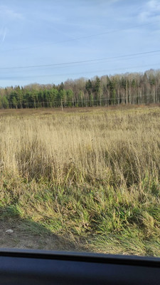 Продам участок 8 соток, Садоводство, Малое Ушаково д, 0 км от города