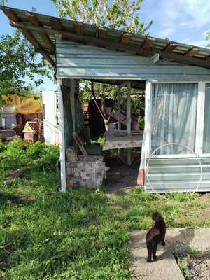 Продам дом, 1, Сибирьковый п, 0 км от города