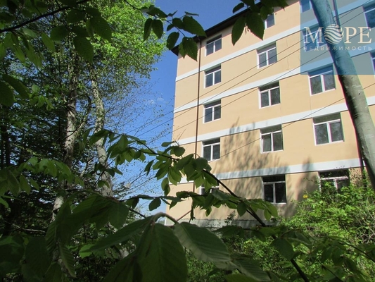 Продам однокомнатную (1-комн.) квартиру, Тепличная ул, 38, Раздольное с