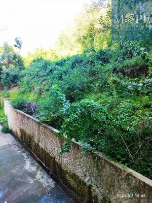 Продам однокомнатную (1-комн.) квартиру, Тепличная ул, 38, Раздольное с