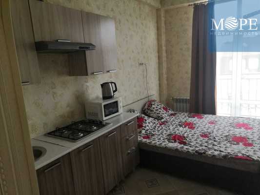 Продам однокомнатную (1-комн.) квартиру, Крымская (Центральный р-н) ул, 69/1, Сочи г