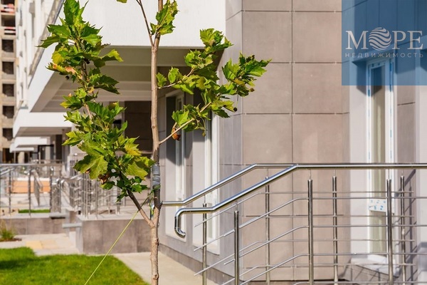 Продам однокомнатную (1-комн.) квартиру, Искры (Хостинский р-н) ул, 66/9, Сочи г