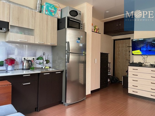 Продам однокомнатную (1-комн.) квартиру, Орбитовская (Адлерский р-н) ул, 20/12, Сочи г