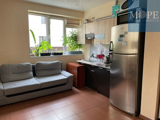 Продам однокомнатную (1-комн.) квартиру, Орбитовская (Адлерский р-н) ул, 20/12, Сочи г