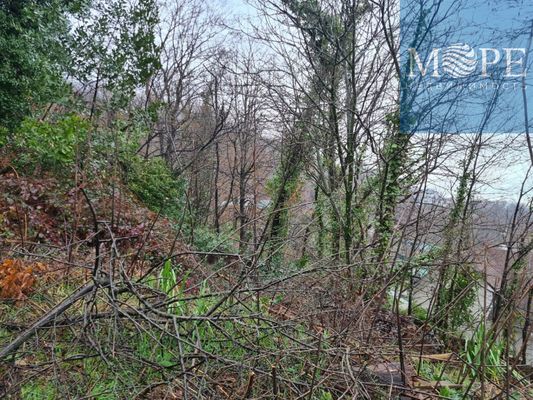 Продам участок 16 соток, ИЖС, Новороссийское шоссе (Хостинский р-н) ул, 123/5, Сочи г, 0 км от города