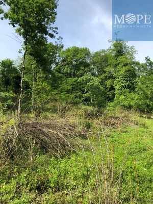 Продам участок 6 соток, ЛПХ, Мичурина ул, 24, Дубравный п, 45 км от города