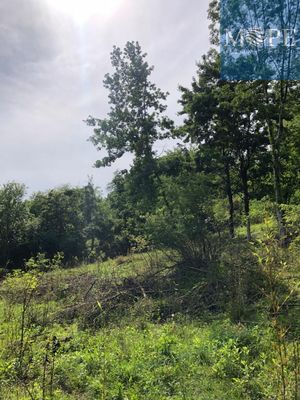 Продам участок 6 соток, ЛПХ, Мичурина ул, 24, Дубравный п, 45 км от города