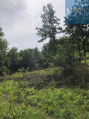 Продам участок 6 соток, ЛПХ, Мичурина ул, 24, Дубравный п, 45 км от города