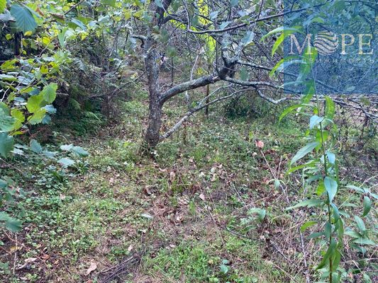 Продам участок 15 соток, ИЖС, Абовяна ул, 122а, Верхний Юрт с, 2 км от города