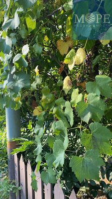 Продам дом, Юбилейная ул, 16А, Прогресс с, 30 км от города