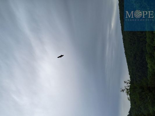 Продам дом, Труд снт, 93, Сочи г, 0 км от города