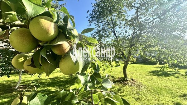 Продам дом, Чистяковская ул, Санкт-Петербург г, 5 км от города