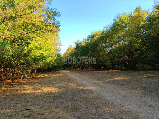 Продам участок 16,6 соток, ИЖС, Подлесная ул, 43, Ерик п, 0 км от города