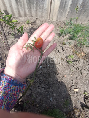 Продам дом, Красноармейская ул, 88, Саратовская ст-ца, 0 км от города