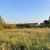 Продам землю для коммерческого использования 40 соток, Садоводство, Титова ул, 23А, Ленино с