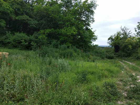 Продам участок 9,1 соток, Фермерское хоз., Ясная ул, Лесное тер. ТСН, 0 км от города