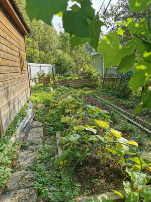 Продам дачу, 131, СНТ Источник тер, 0 км от города