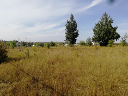 Продам участок 15 соток, Молодежная ул, Девица с, 0 км от города