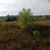 Продам участок 15 соток, Молодежная ул, Девица с, 0 км от города