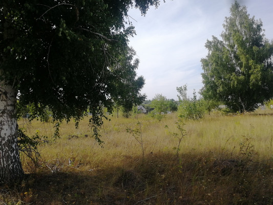 Продам участок 15 соток, Молодежная ул, Девица с, 0 км от города