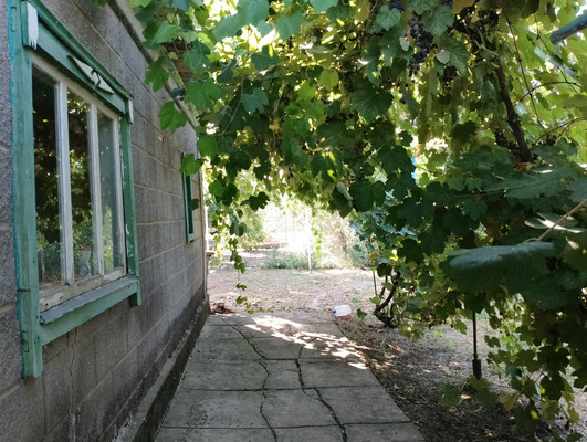 Продам дом, Брюховецкая ул, 4, Каневская ст-ца, 0 км от города