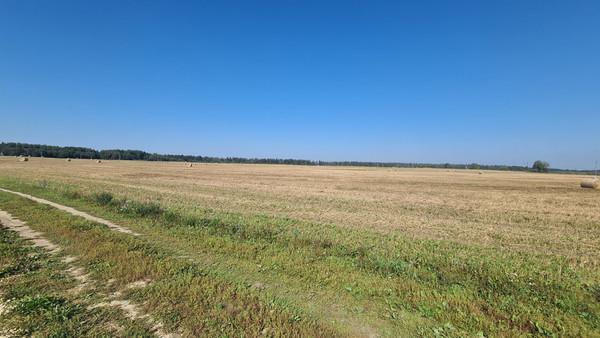 Продам участок 15 соток, ИЖС, Старые Бегуницы д, 0 км от города