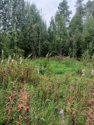 Продам участок 10 соток, ИЖС, Корткерос с, 0 км от города