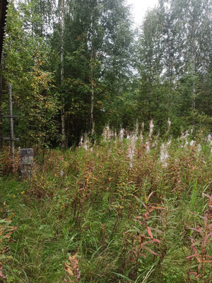 Продам участок 10 соток, ИЖС, Корткерос с, 0 км от города