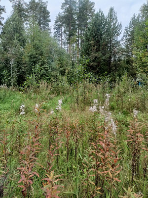 Продам участок 10 соток, ИЖС, Корткерос с, 0 км от города