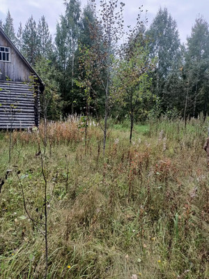 Продам участок 10 соток, ИЖС, Корткерос с, 0 км от города