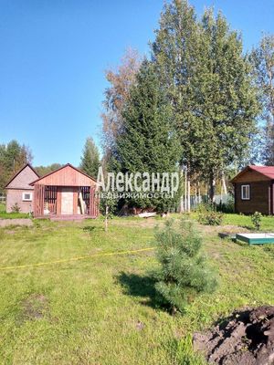 Продам дачу в поселке СНТ &amp;quot;Ленвест&amp;quot;, 66, СНТ Ленвест массива Керамик тер, 96 км от города
