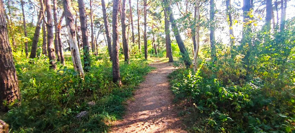 Продам таунхаус, Спортивная ул, Светлогорск г, 0 км от города