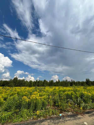 Продам дом, Мира ул, Протасово д, 0 км от города